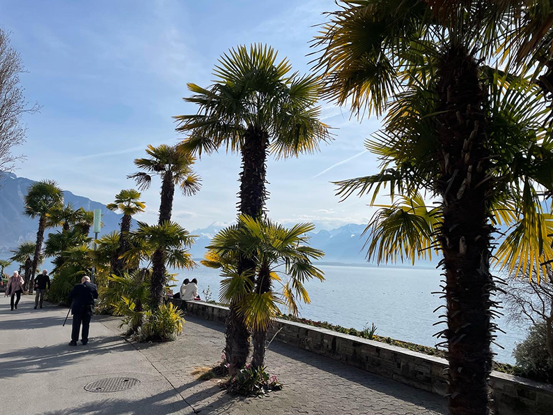 Belle Epoque, GoldenPass, Zweisimmen, Montreux, Schweiz